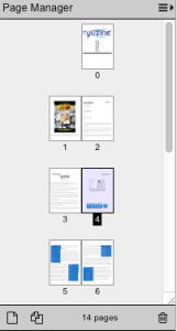 Page_Manager_Page_Select