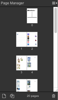 "Page Manager" panel in Ryuzine Writer's Editor