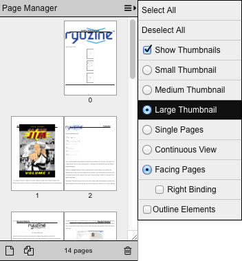 Page_Manager_Big_Thumbs
