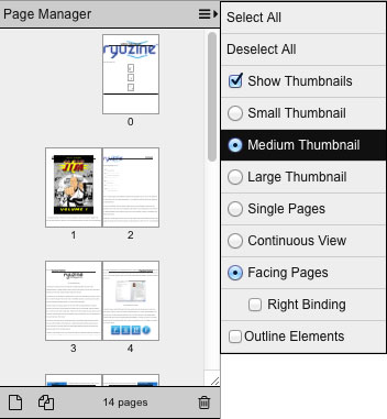 Page_Manager_Med_Thumbs