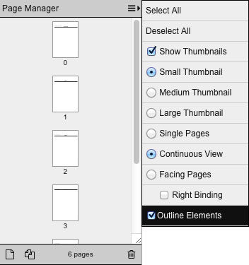 Page_Manager_Outline