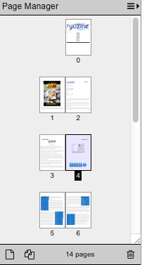 Page_Manager_Page_Select