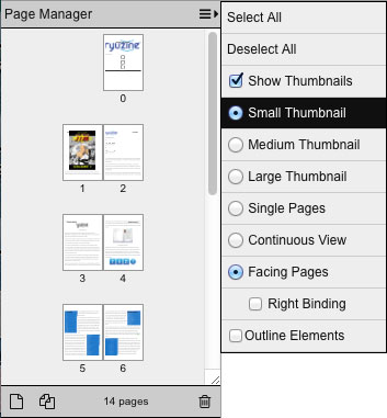 Page_Manager_Small_Thumbs